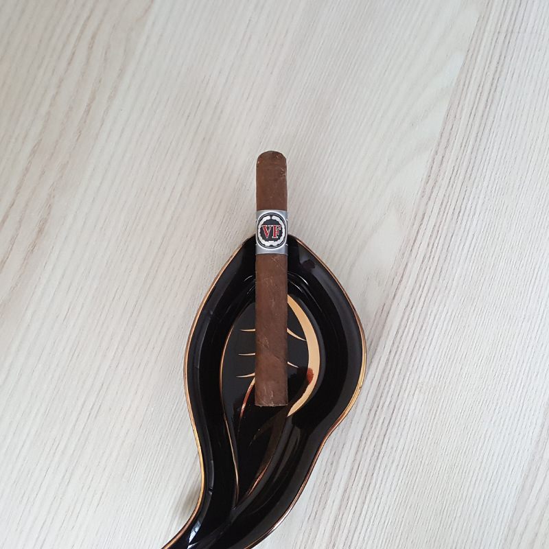 Vegafina Fortaleza 2 - Panetela