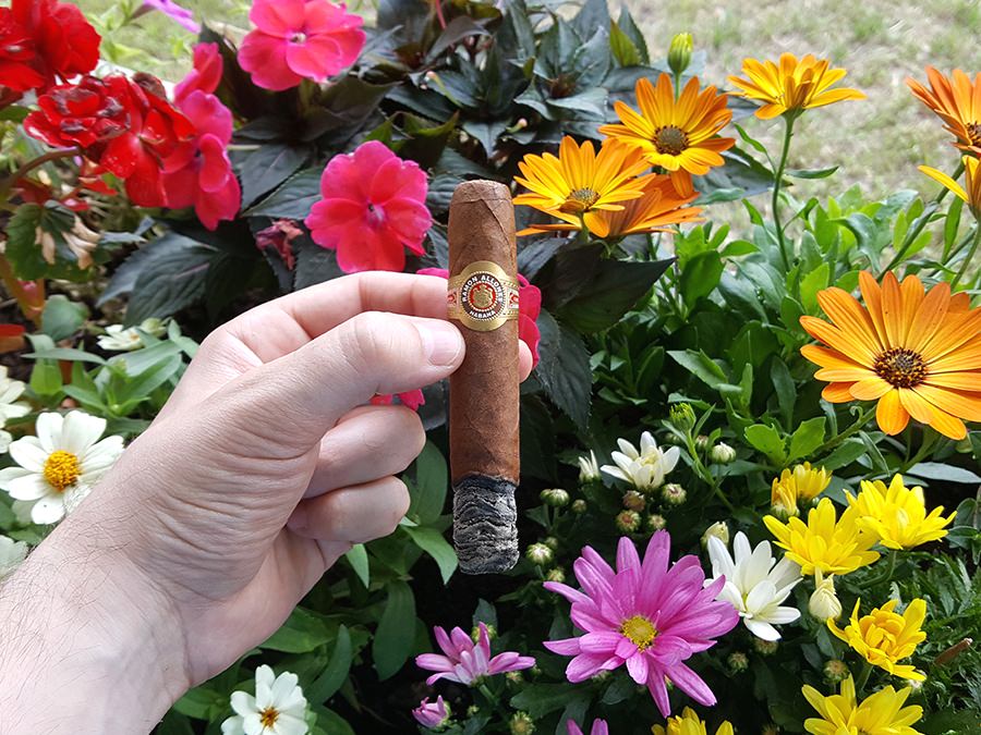 Ramon Allones Specially Selected Cigar