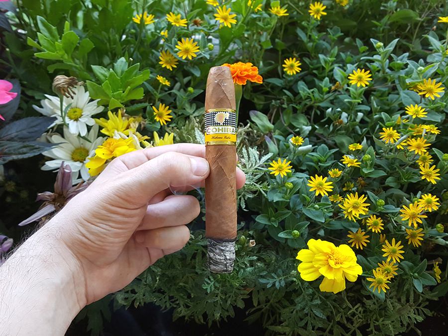 Cohiba Piramides Extra Cigar