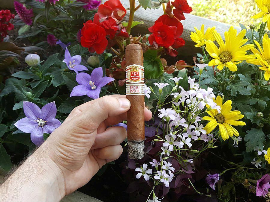 Hoyo de Monterrey Epicure Especial "Serie Sevilla" Cigar