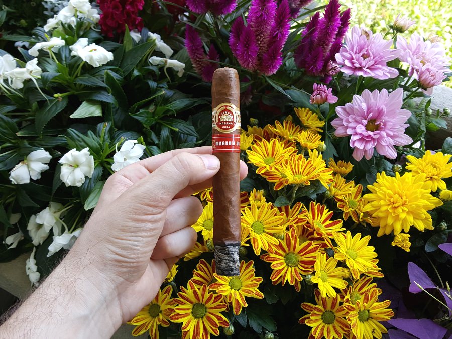 H. Upmann Magnum 50 "Serie Sevilla" Cigar