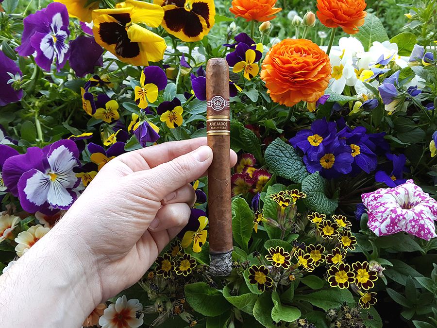 Montecristo Anejados Churchill Cigar